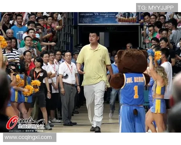 深入探讨上海极限运动队实力与其他体育团队的全面对比分析 深入探讨上海极限运动队实力与其他体育团队的全面对比分析