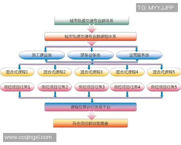重庆飞盘队的运营策略与战术分析探索运动专业的深度解读