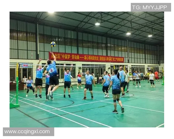 体育实时数据周秀英专访揭秘排球生涯背后的奋斗与荣耀历程