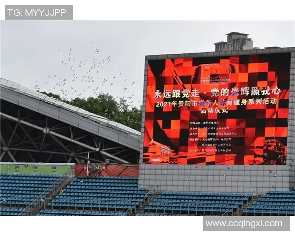 运动数据李娜专访探寻乒乓球辉煌背后的成功秘诀与心路历程